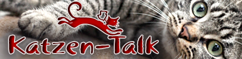 Katzen-Talk, unser Katzenforum für alle Felle